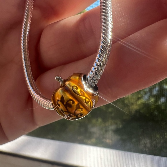 Pumpkin Charm - Picture 8 of 14